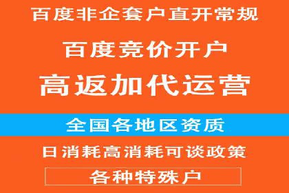 百度推广运营实战经验：案例解析与优化